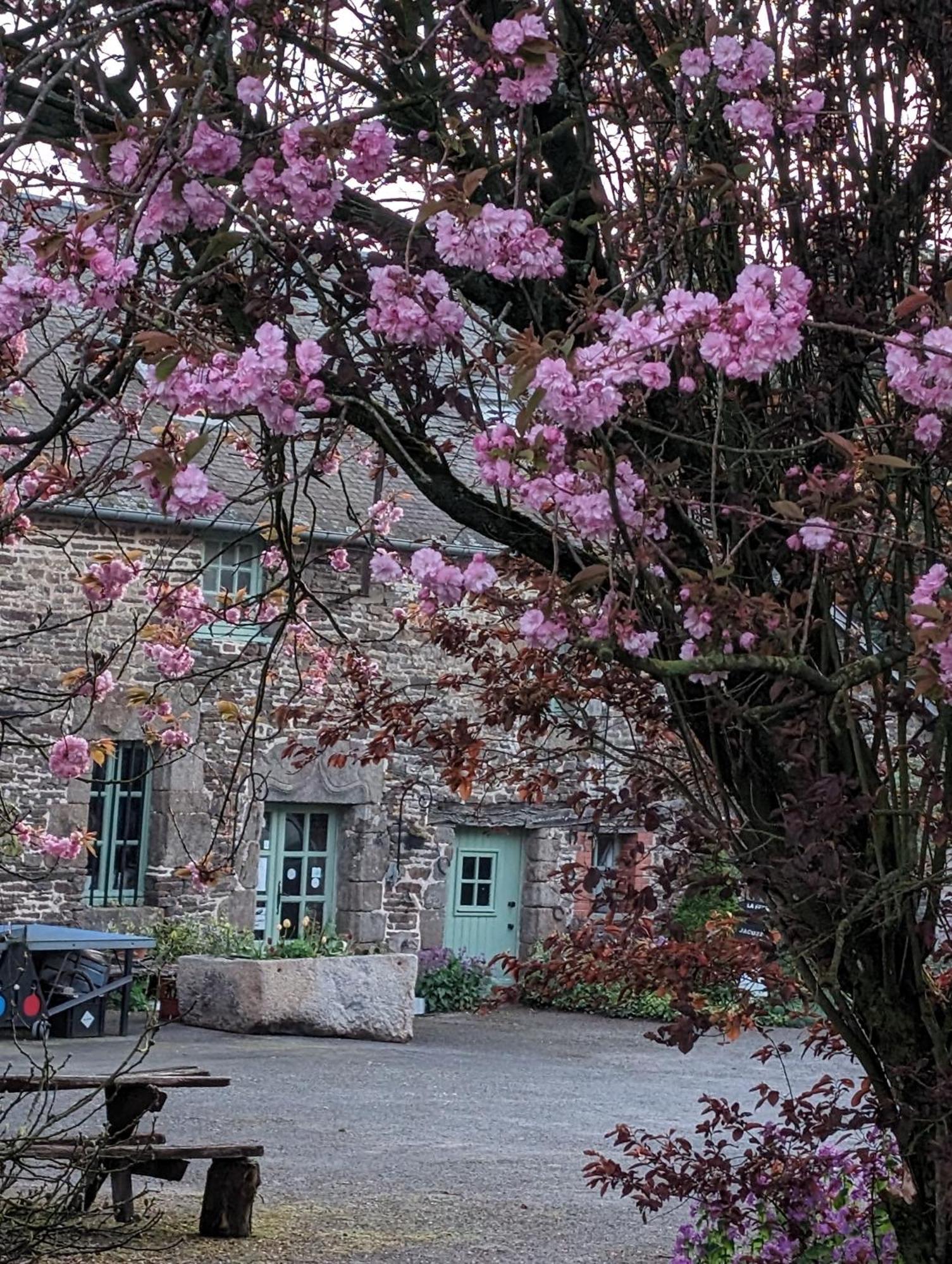 Ferme De La Gortiere Bed & Breakfast Le Teilleul Ngoại thất bức ảnh